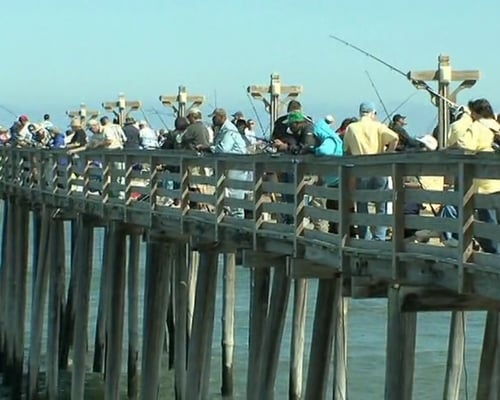 VIP Fishing Tournament